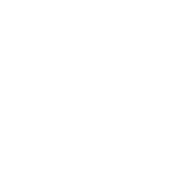 Growth & Scale Readiness